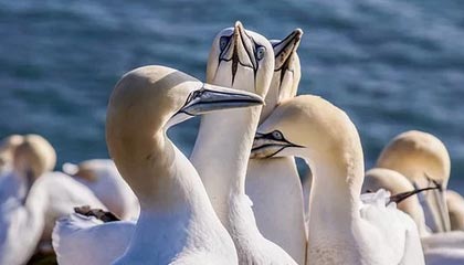 AG体育app下载-费纳均为新积分系统受益者 女单第一原本竟是她！